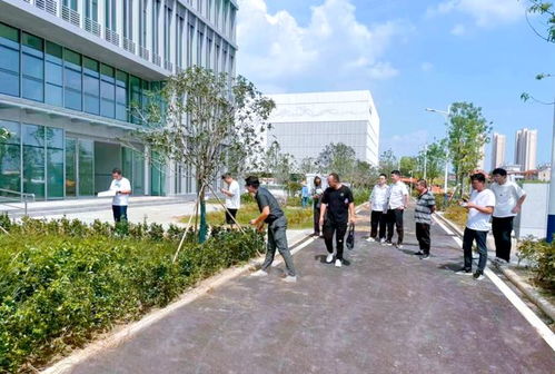 蔡甸推動(dòng)高質(zhì)量發(fā)展 為市民辦實(shí)事