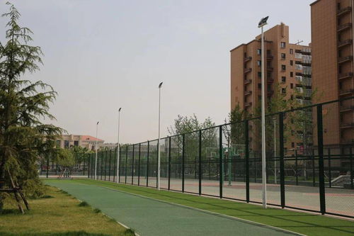 陜建古建園林集團(tuán)榮獲園林工程獎(jiǎng) 銅獎(jiǎng)