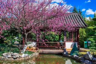 木材在旅游景區(qū)中的具體應用 上