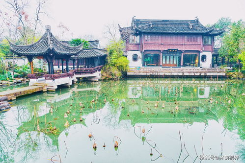 紹興的這個公園隱于市,匯集了江南園林的溫婉秀美