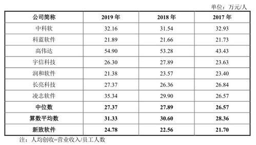 新致軟件闖關科創板，軟件外包服務模式與“人力外包”界定引關注